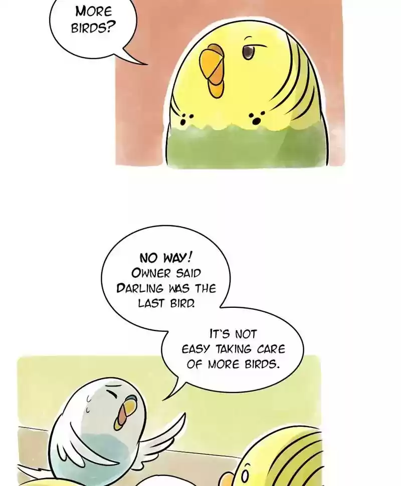 A Budgie's Life Chapter 123: Ep.123: