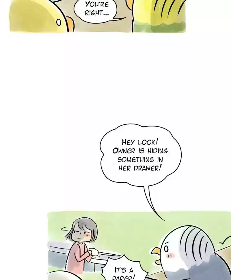 A Budgie's Life Chapter 123: Ep.123: