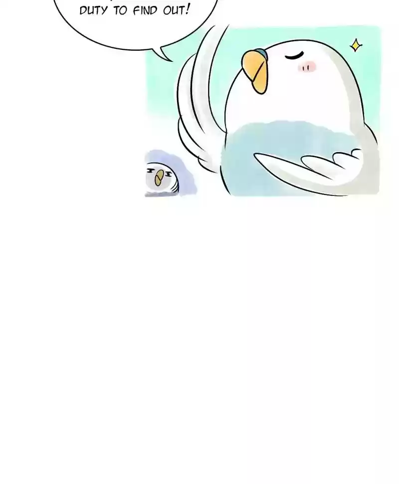 A Budgie's Life Chapter 123: Ep.123: