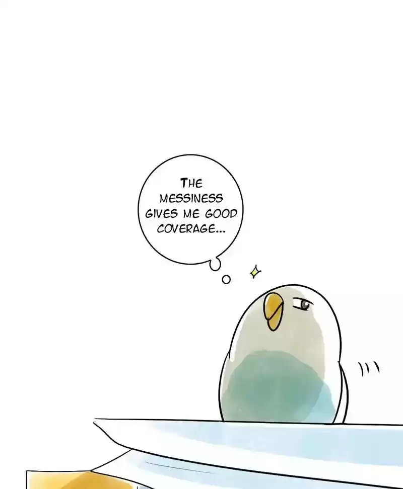 A Budgie's Life Chapter 123: Ep.123: