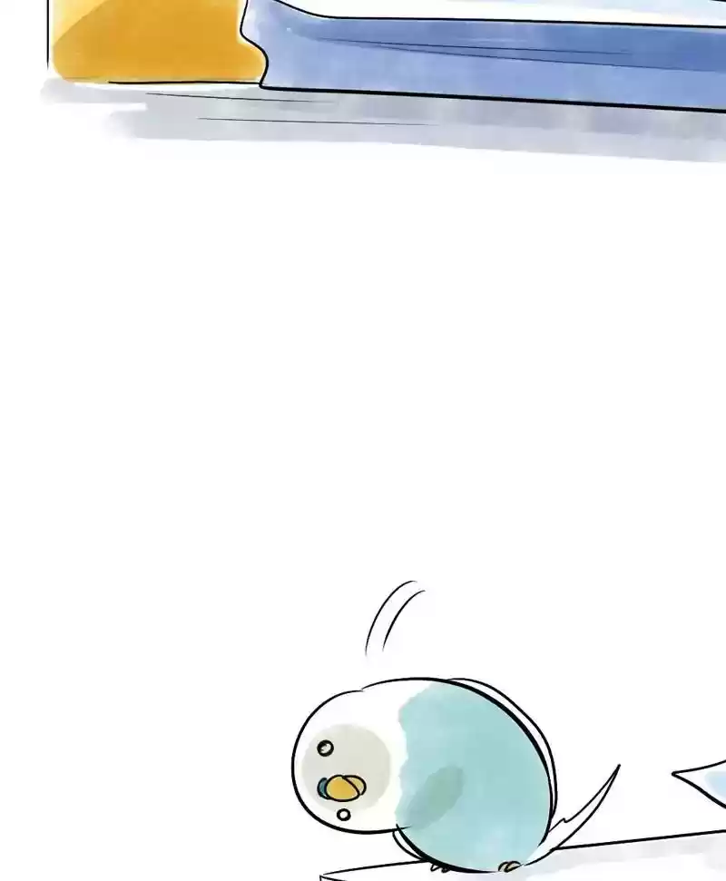 A Budgie's Life Chapter 123: Ep.123: