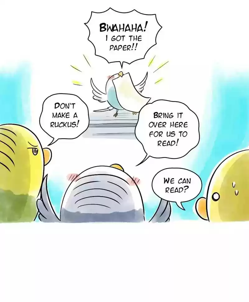 A Budgie's Life Chapter 123: Ep.123: