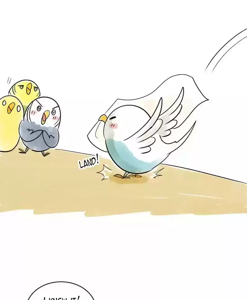 A Budgie's Life Chapter 123: Ep.123: