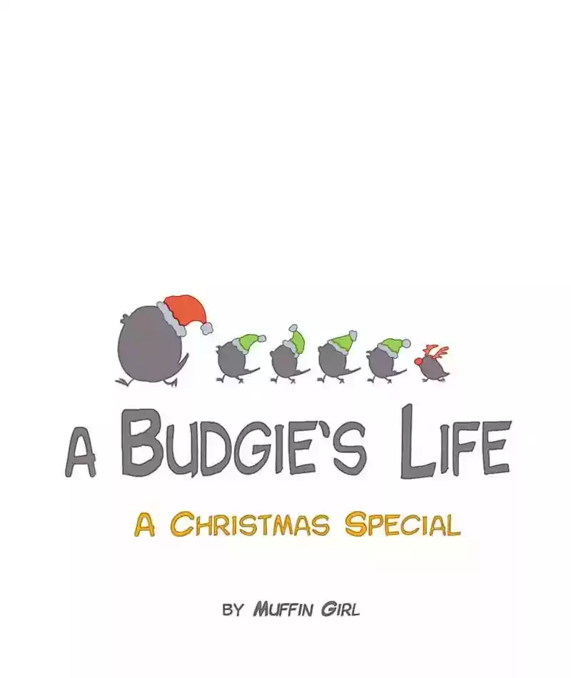 A Budgie's Life Chapter 125: Ep.125: