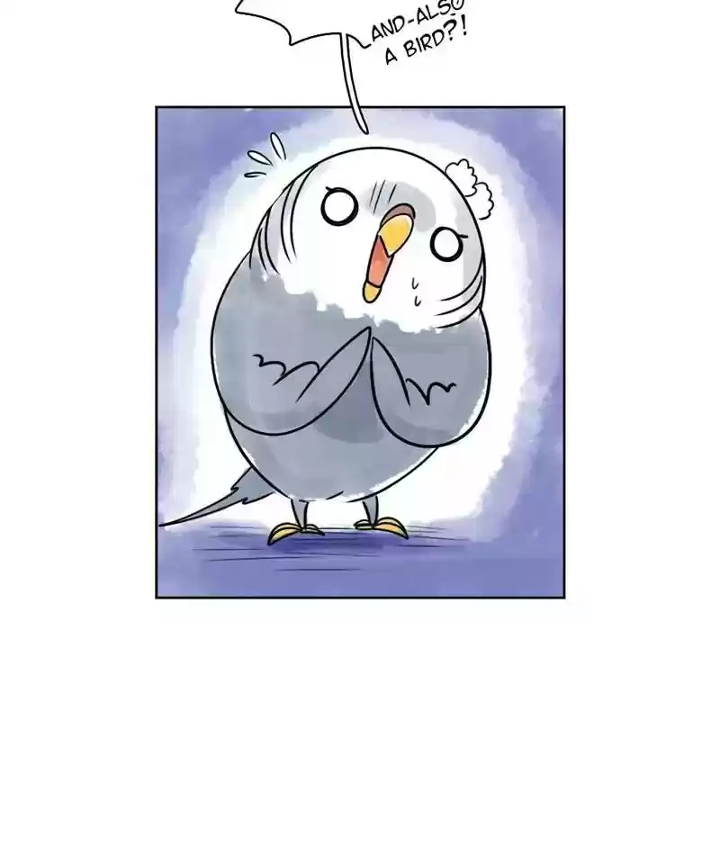 A Budgie's Life Chapter 125: Ep.125: