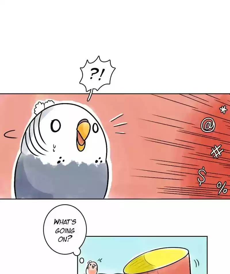 A Budgie's Life Chapter 125: Ep.125: