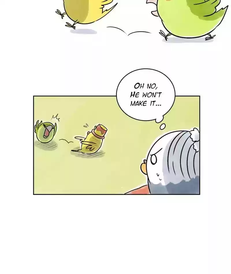 A Budgie's Life Chapter 125: Ep.125: