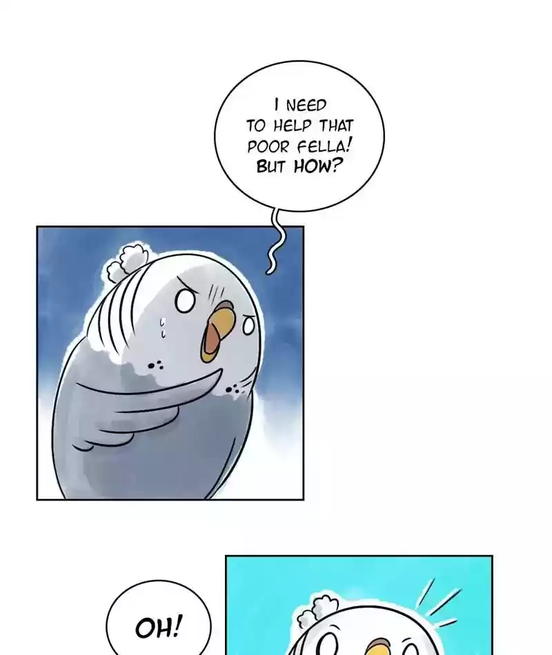 A Budgie's Life Chapter 125: Ep.125: