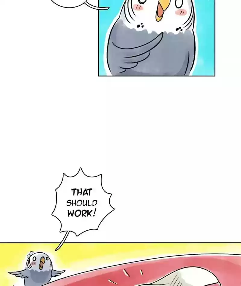 A Budgie's Life Chapter 125: Ep.125:
