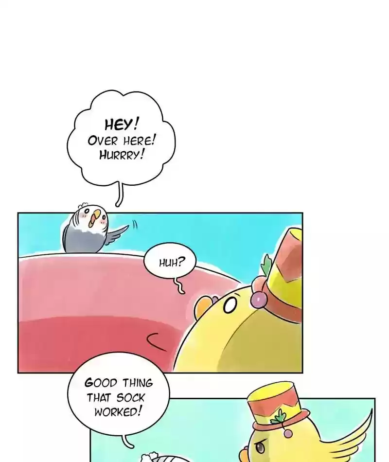 A Budgie's Life Chapter 125: Ep.125: