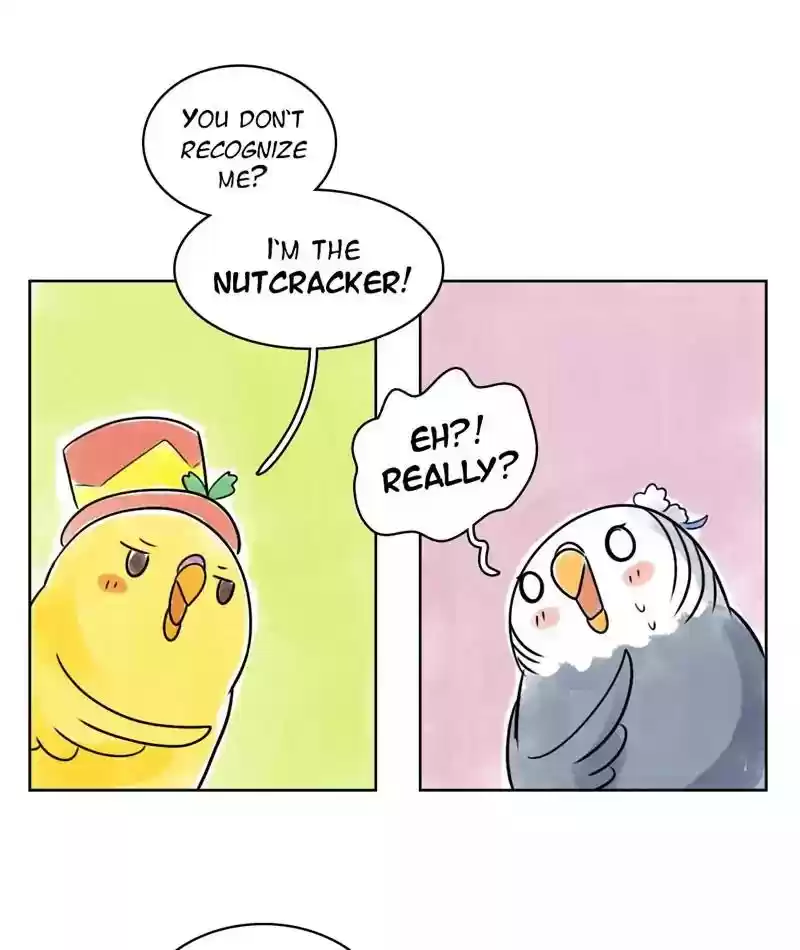 A Budgie's Life Chapter 125: Ep.125: