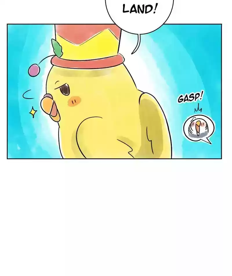 A Budgie's Life Chapter 125: Ep.125: