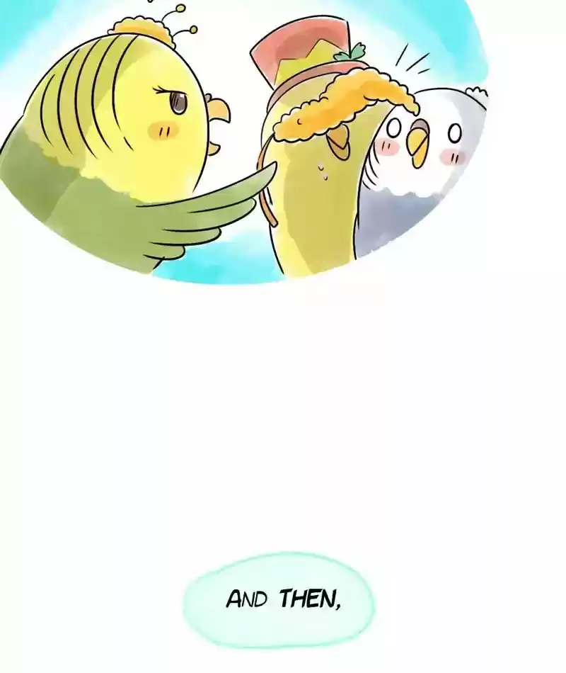 A Budgie's Life Chapter 125: Ep.125: