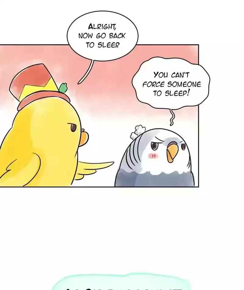 A Budgie's Life Chapter 125: Ep.125: