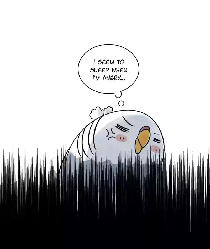 A Budgie's Life Chapter 125: Ep.125: