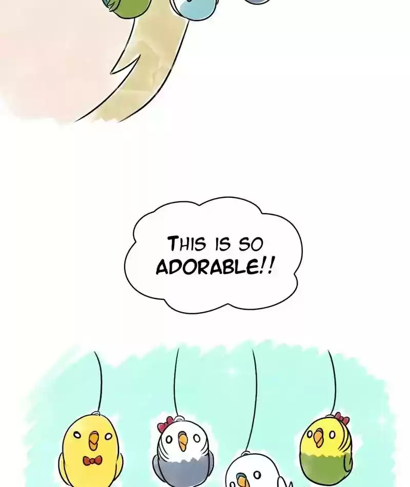 A Budgie's Life Chapter 125: Ep.125: