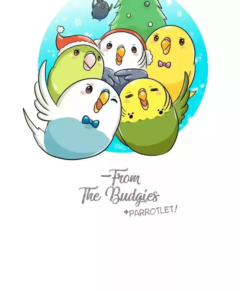 A Budgie's Life Chapter 125: Ep.125:
