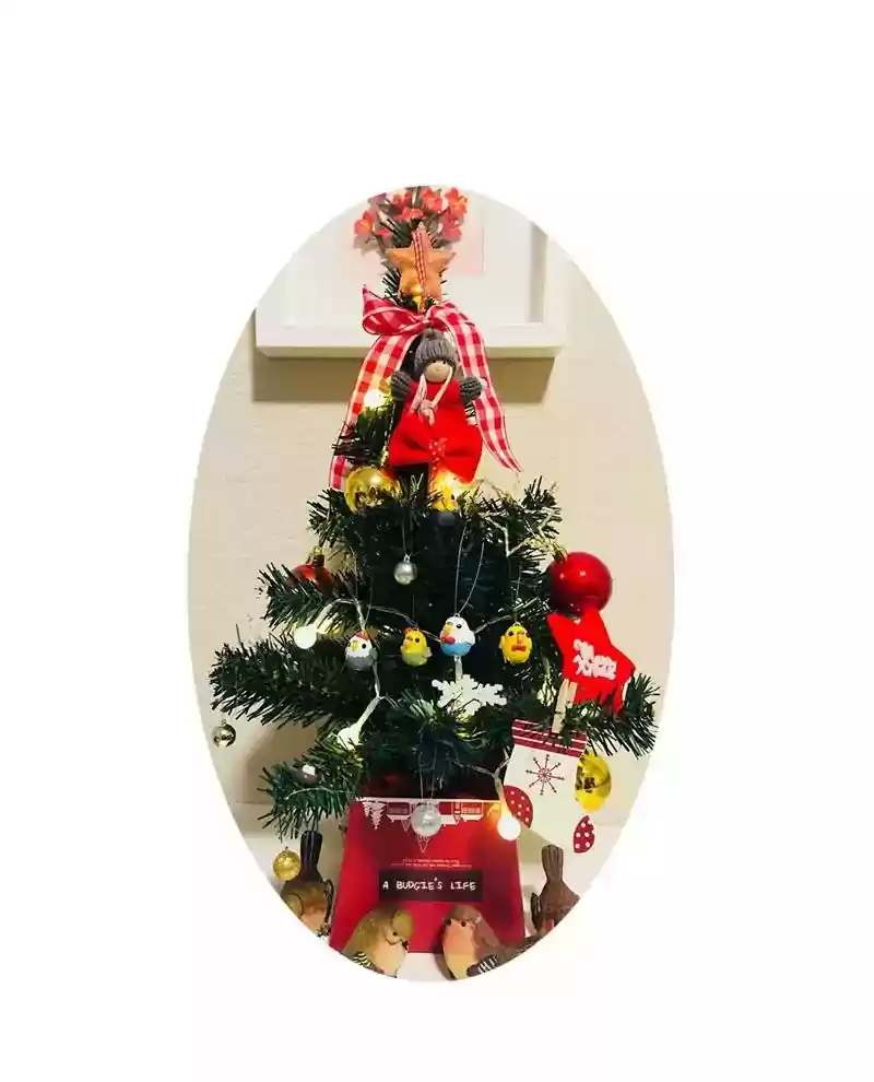 A Budgie's Life Chapter 125: Ep.125: