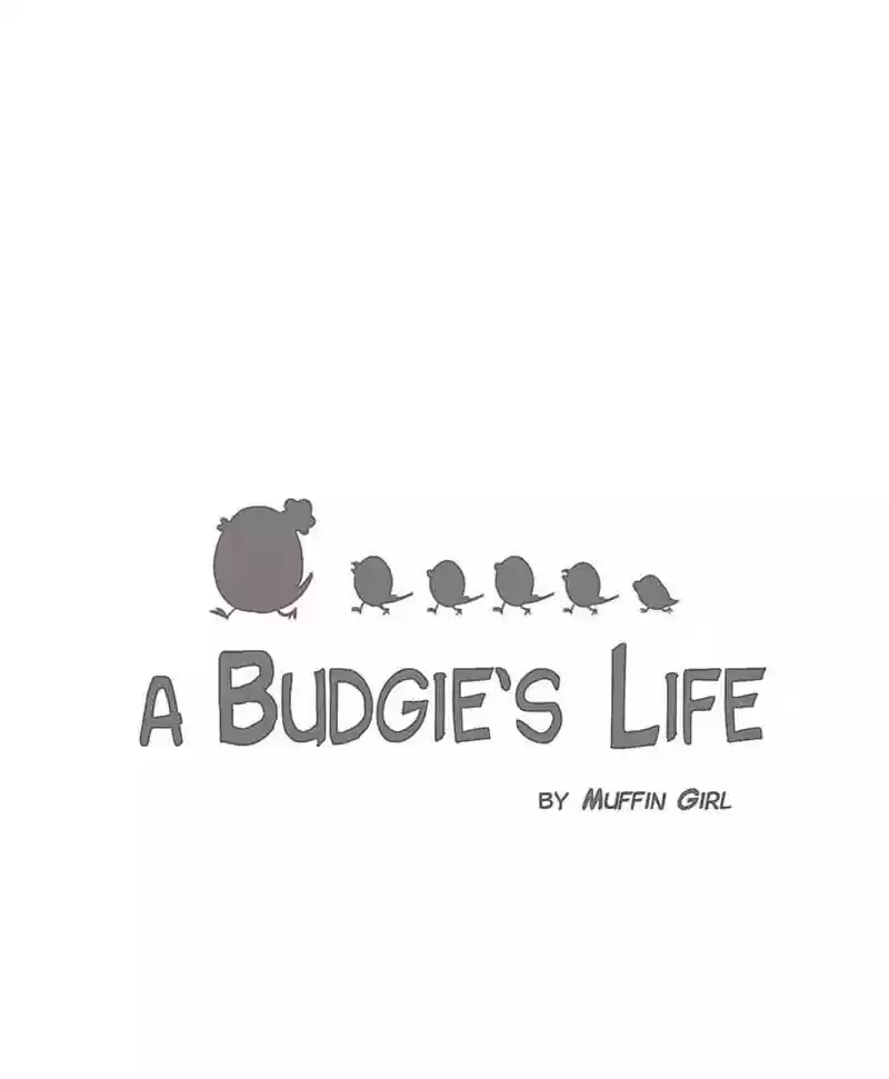 A Budgie's Life Chapter 127: Ep.127: