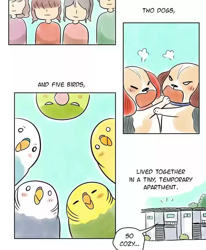 A Budgie's Life Chapter 127: Ep.127: