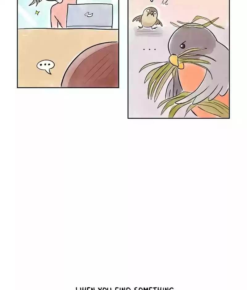 A Budgie's Life Chapter 127: Ep.127: