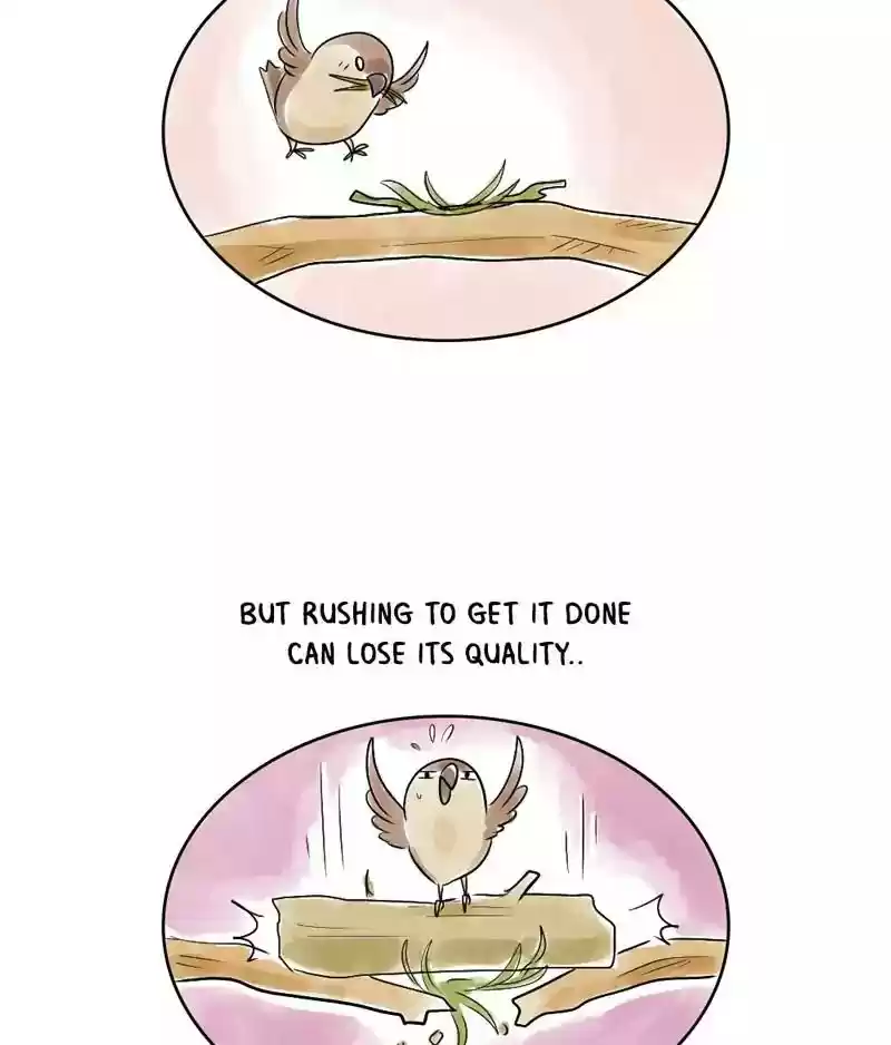 A Budgie's Life Chapter 127: Ep.127: