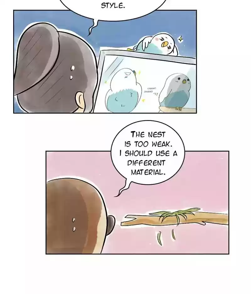 A Budgie's Life Chapter 127: Ep.127: