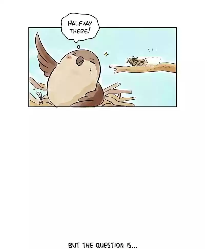 A Budgie's Life Chapter 127: Ep.127: