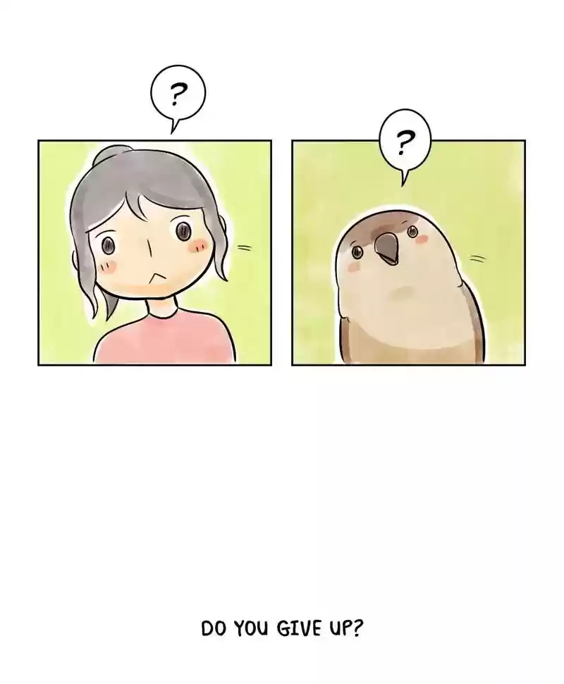 A Budgie's Life Chapter 127: Ep.127: