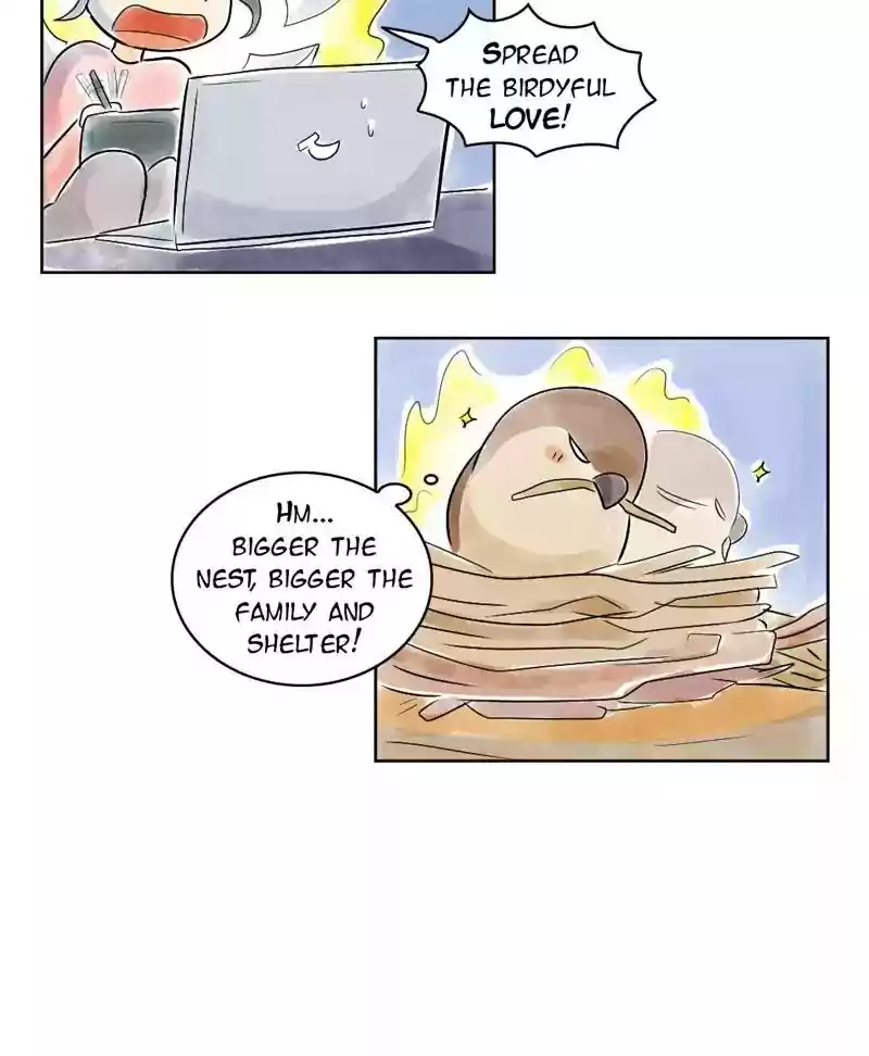 A Budgie's Life Chapter 127: Ep.127: