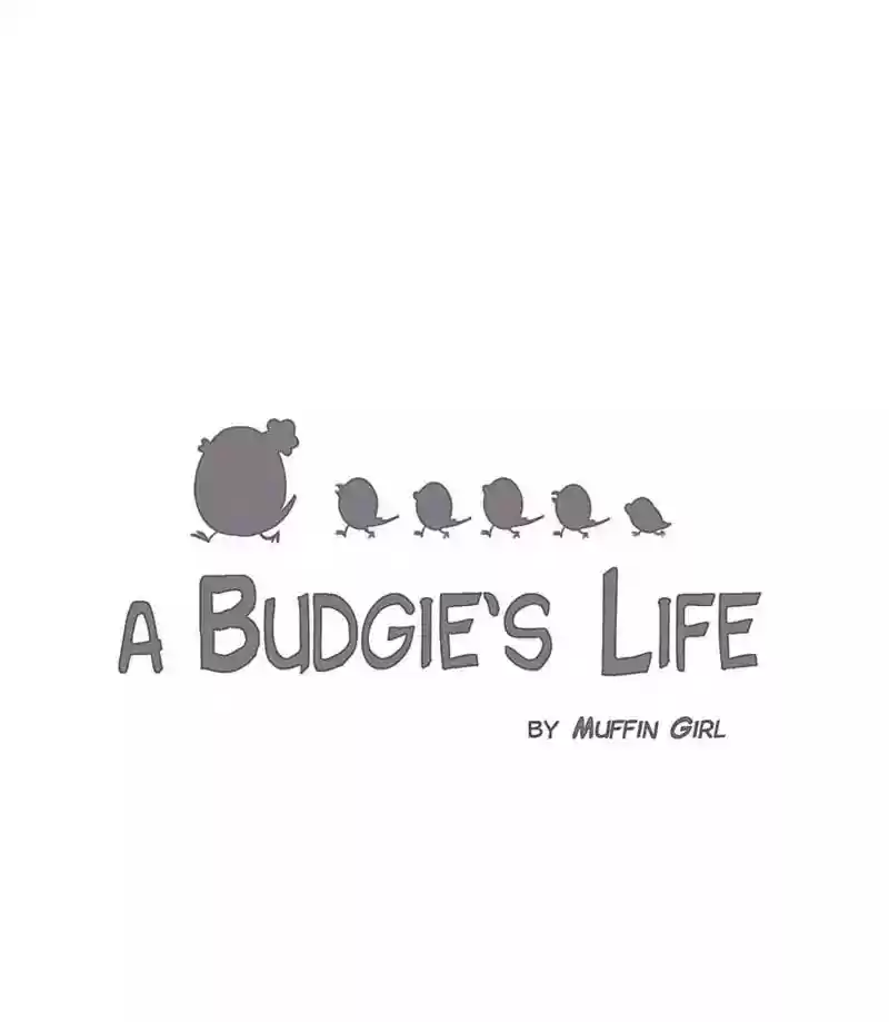 A Budgie's Life Chapter 128: Ep.128: