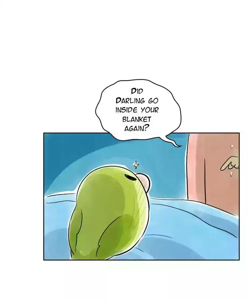 A Budgie's Life Chapter 128: Ep.128: