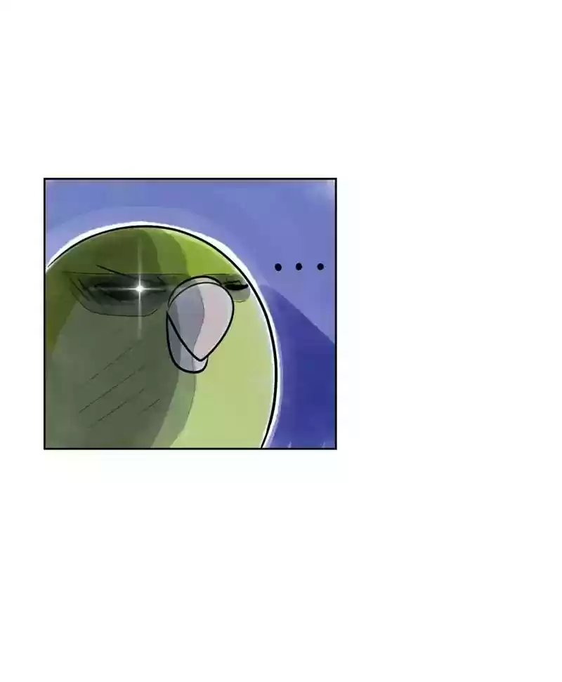 A Budgie's Life Chapter 128: Ep.128: