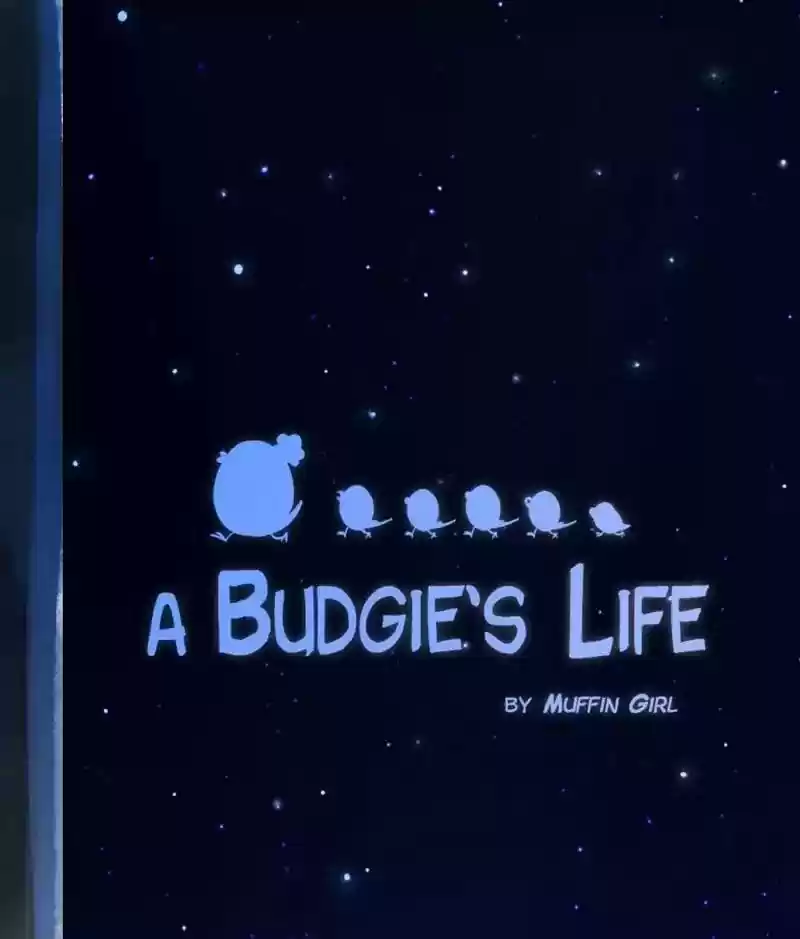 A Budgie's Life Chapter 129: Ep.129: