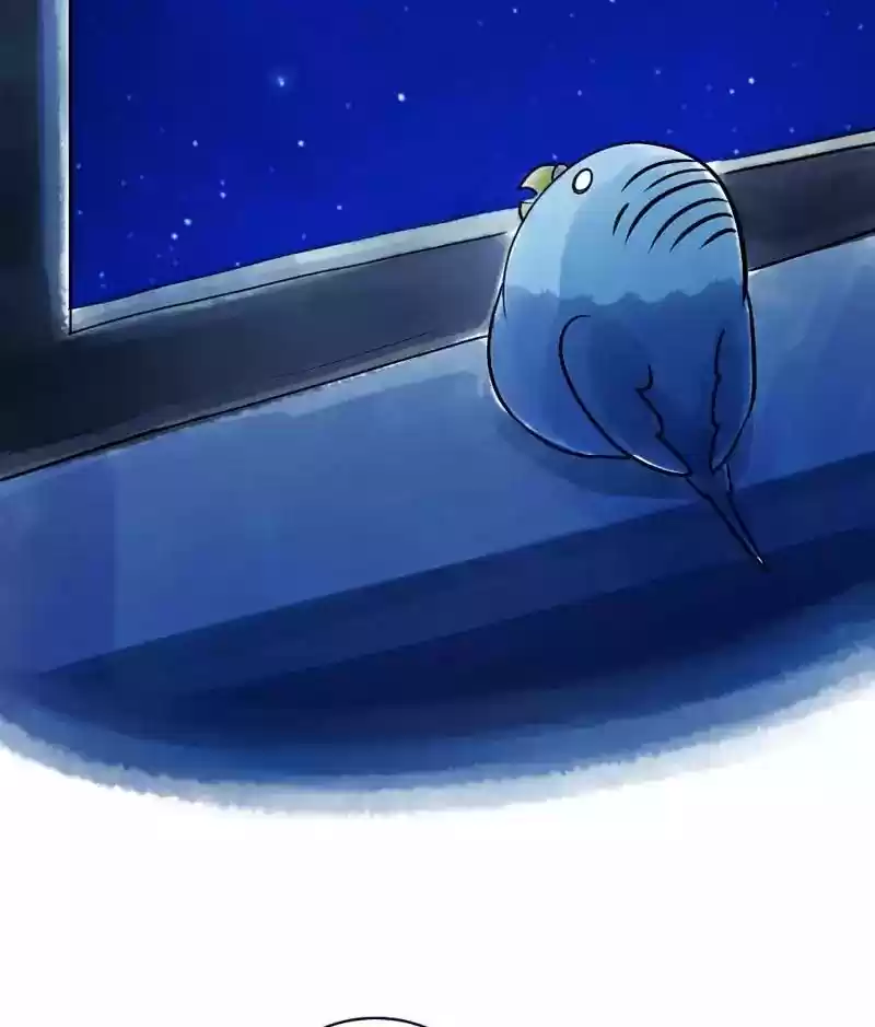 A Budgie's Life Chapter 129: Ep.129: