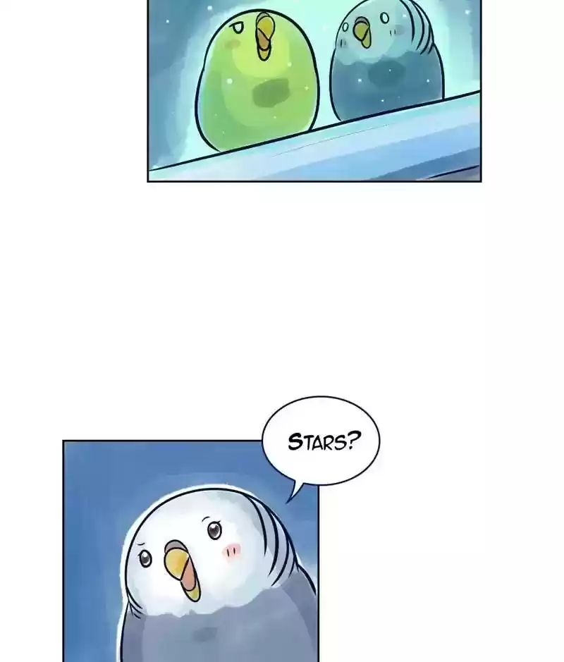 A Budgie's Life Chapter 129: Ep.129: