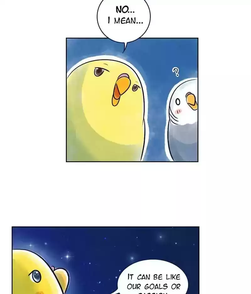 A Budgie's Life Chapter 129: Ep.129: