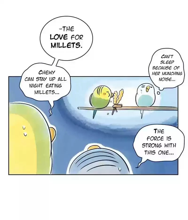 A Budgie's Life Chapter 129: Ep.129: