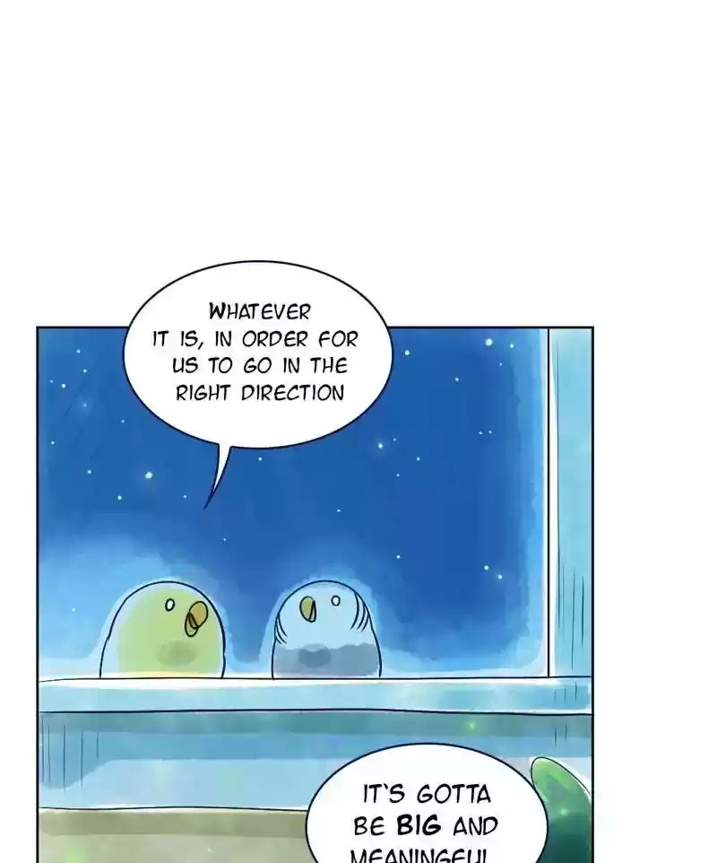 A Budgie's Life Chapter 129: Ep.129: