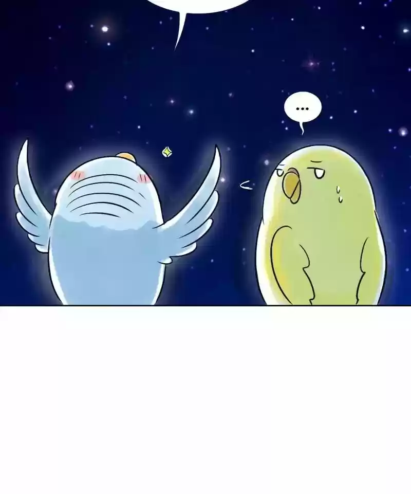 A Budgie's Life Chapter 129: Ep.129: