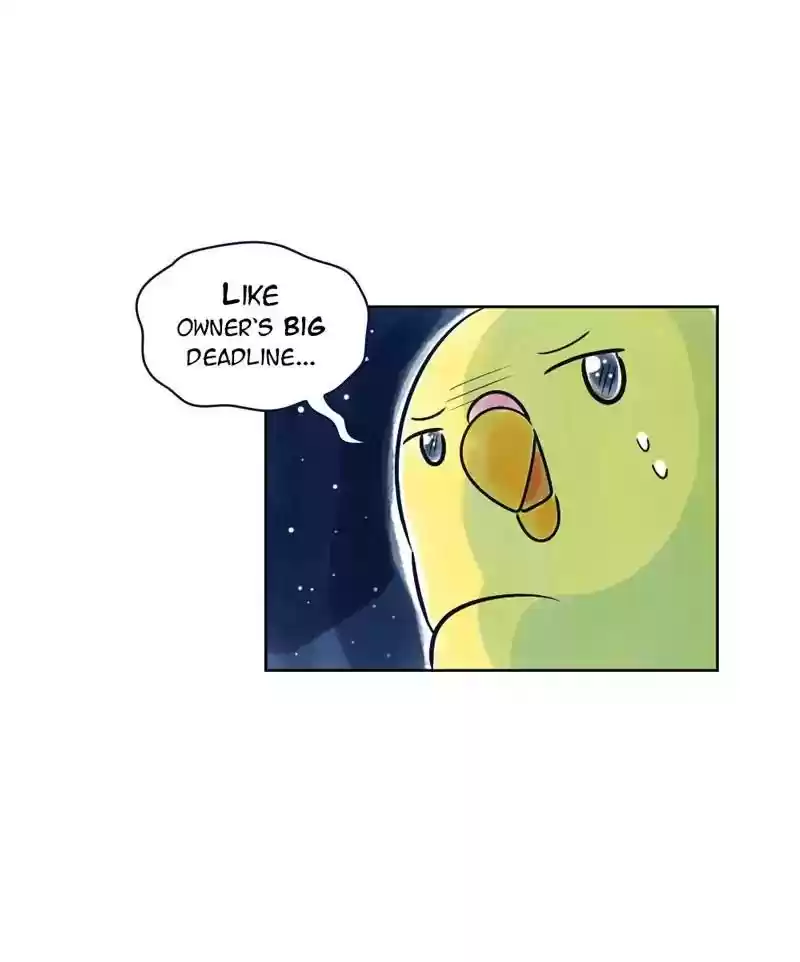 A Budgie's Life Chapter 129: Ep.129: