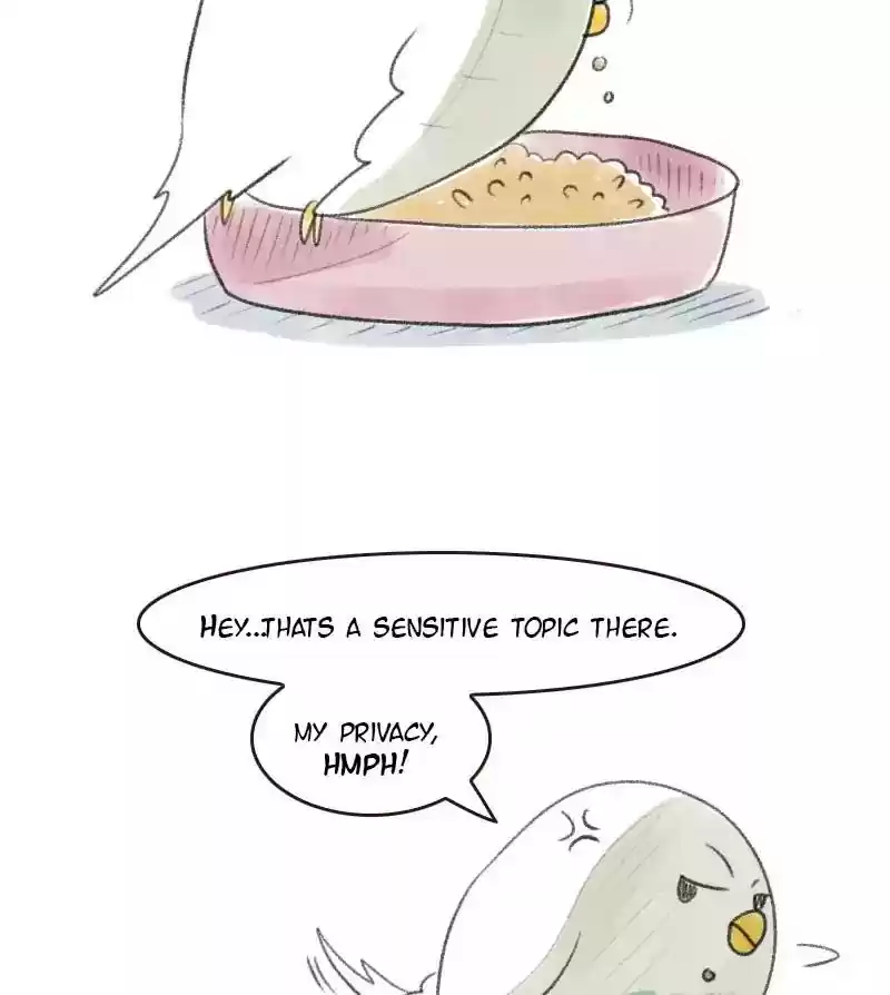 A Budgie's Life Chapter 13: Ep.13: