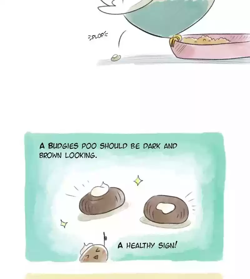 A Budgie's Life Chapter 13: Ep.13: