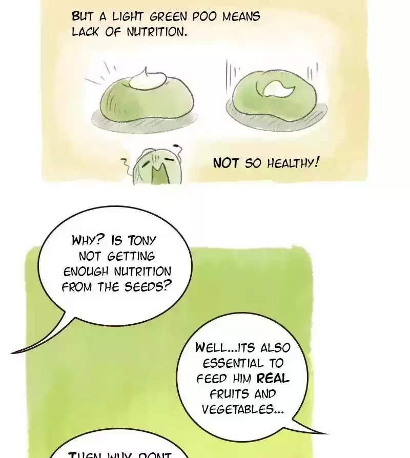 A Budgie's Life Chapter 13: Ep.13: