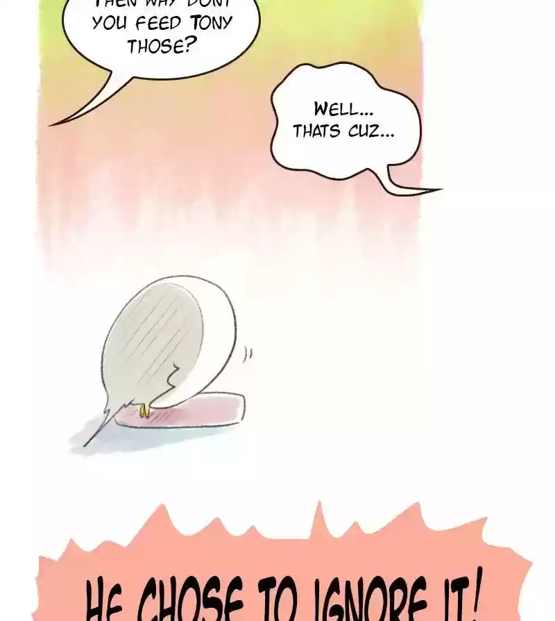 A Budgie's Life Chapter 13: Ep.13: