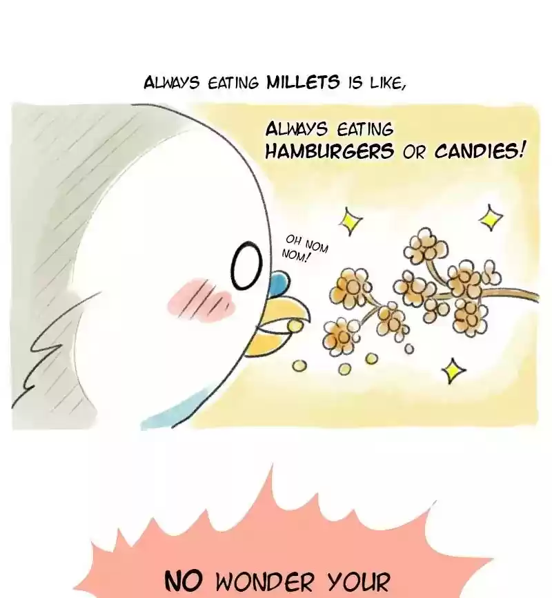 A Budgie's Life Chapter 13: Ep.13: