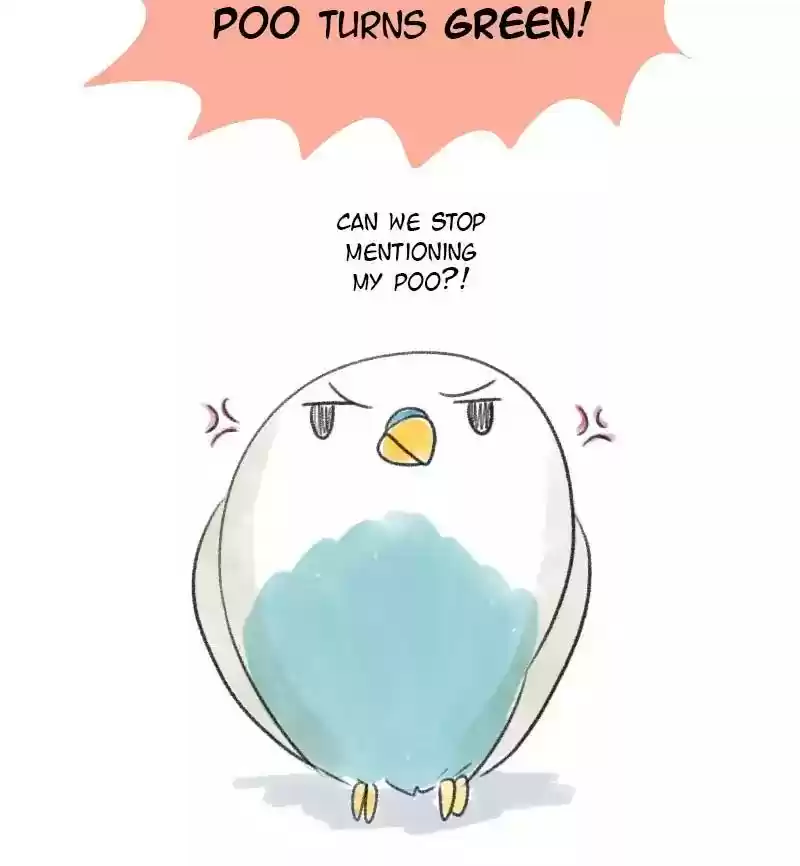 A Budgie's Life Chapter 13: Ep.13: