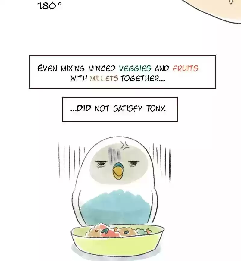 A Budgie's Life Chapter 13: Ep.13: