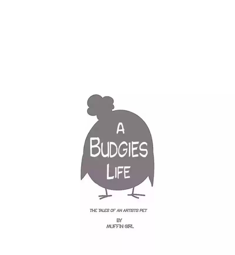 A Budgie's Life Chapter 13: Ep.13: