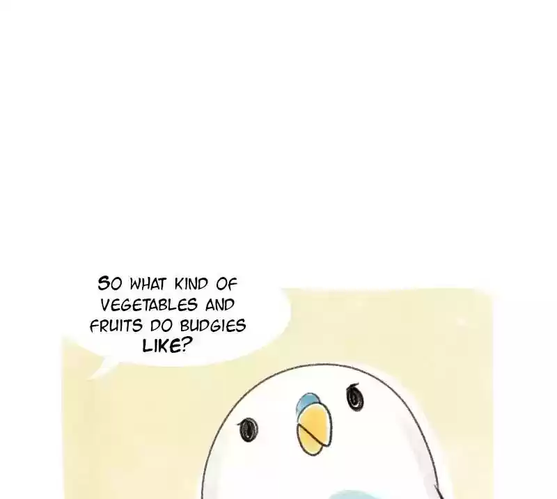 A Budgie's Life Chapter 13: Ep.13: